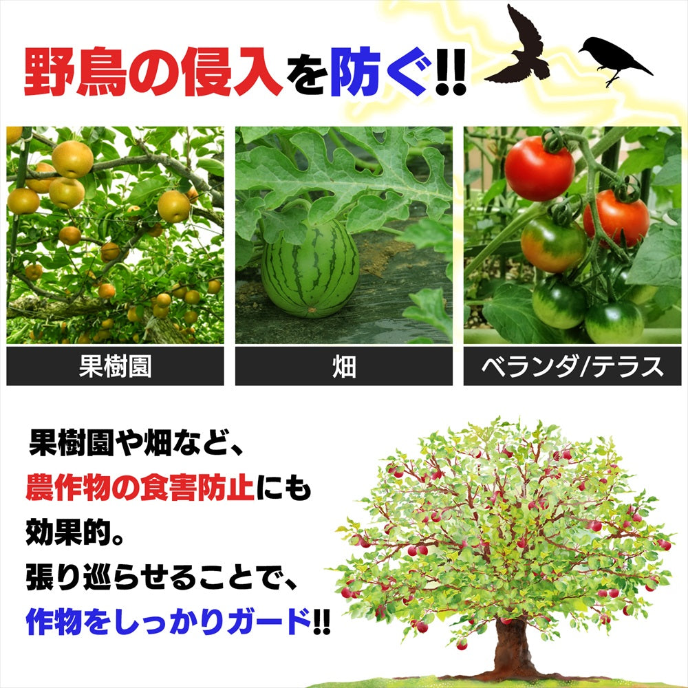 防鳥ネット 鳥よけ 透明ネット 農業用品 果樹園 畑 庭 家庭菜園 カラス 鳩 SN-400-BN