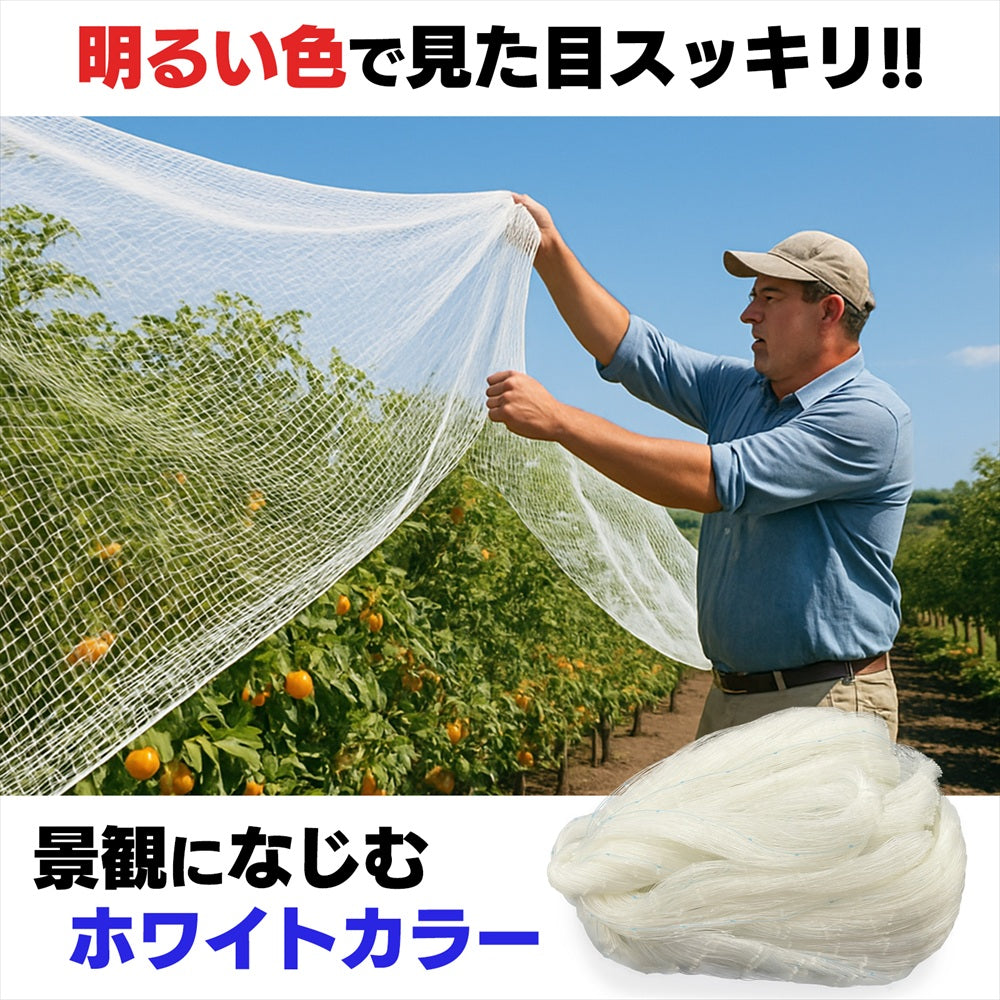 防鳥ネット 鳥よけ 透明ネット 農業用品 果樹園 畑 庭 家庭菜園 カラス 鳩 SN-400-BN