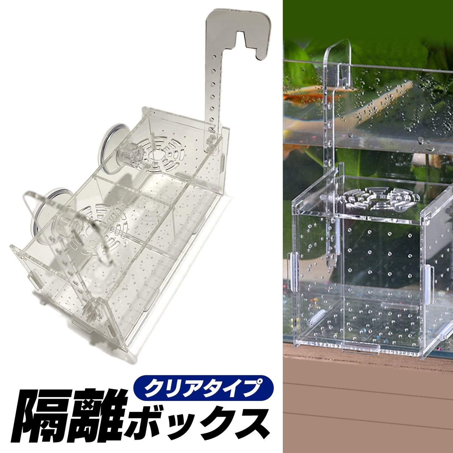 水槽 隔離ケース 隔離ボックス 稚魚ケース 稚魚用 隔離 SN-299-KB(ダブル)