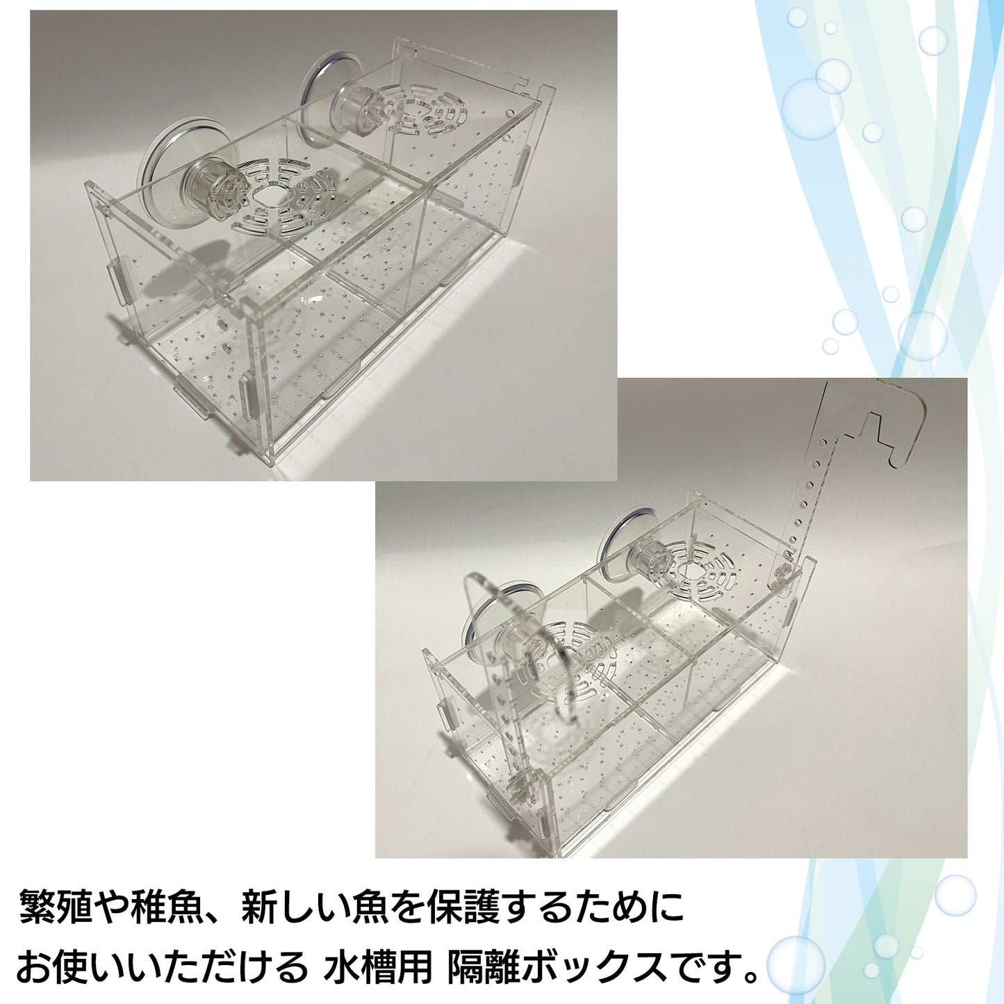 水槽 隔離ケース 隔離ボックス 稚魚ケース 稚魚用 隔離 SN-299-KB(ダブル)