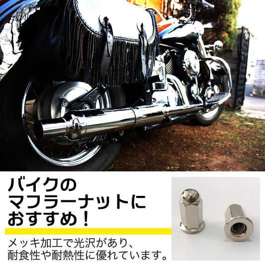 袋ナット マフラーナット M6 フランジナット SN-265-FN ( 8個セット )