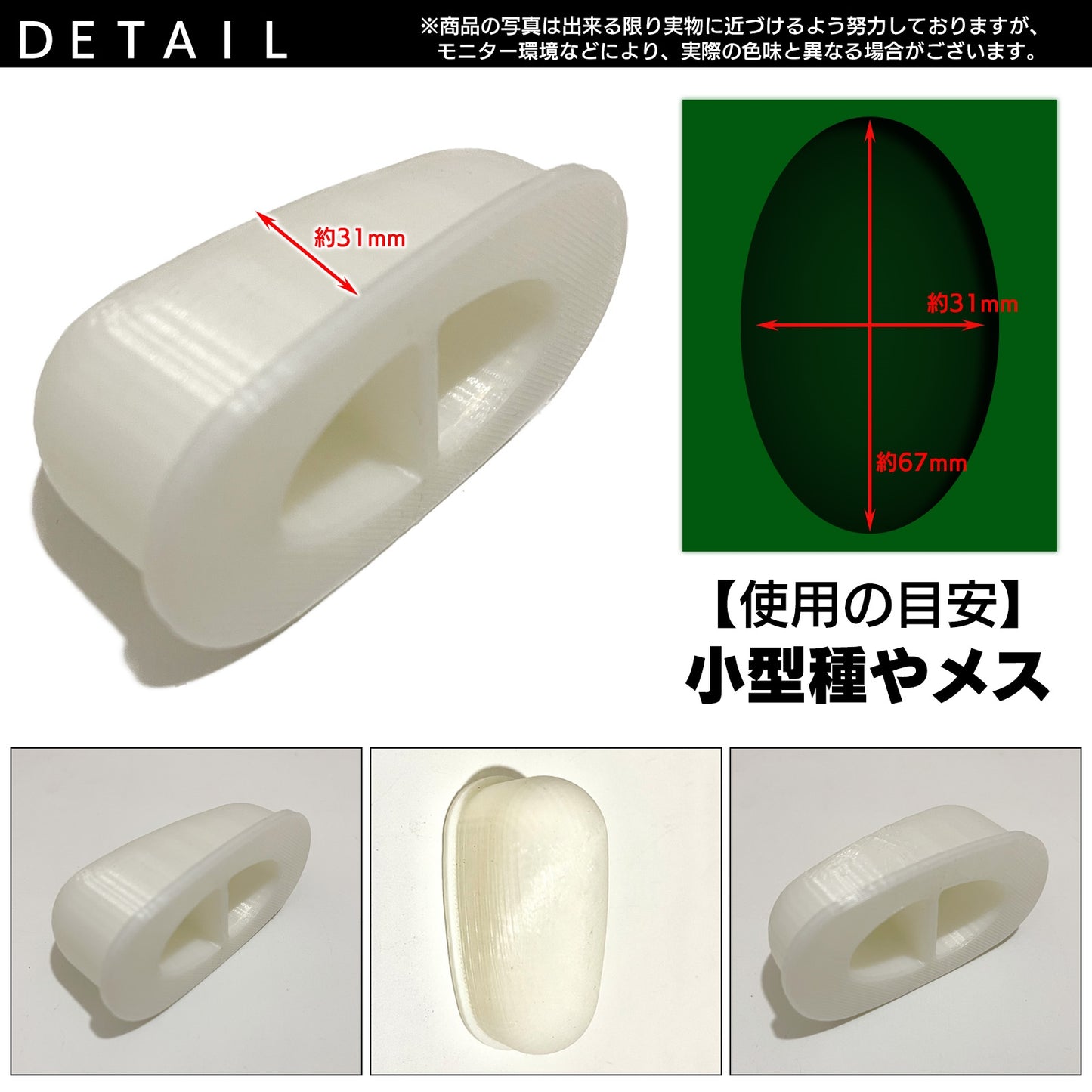 人工蛹室 凸型 カブトムシ 羽化 小型種 メス (67mm×31mm)