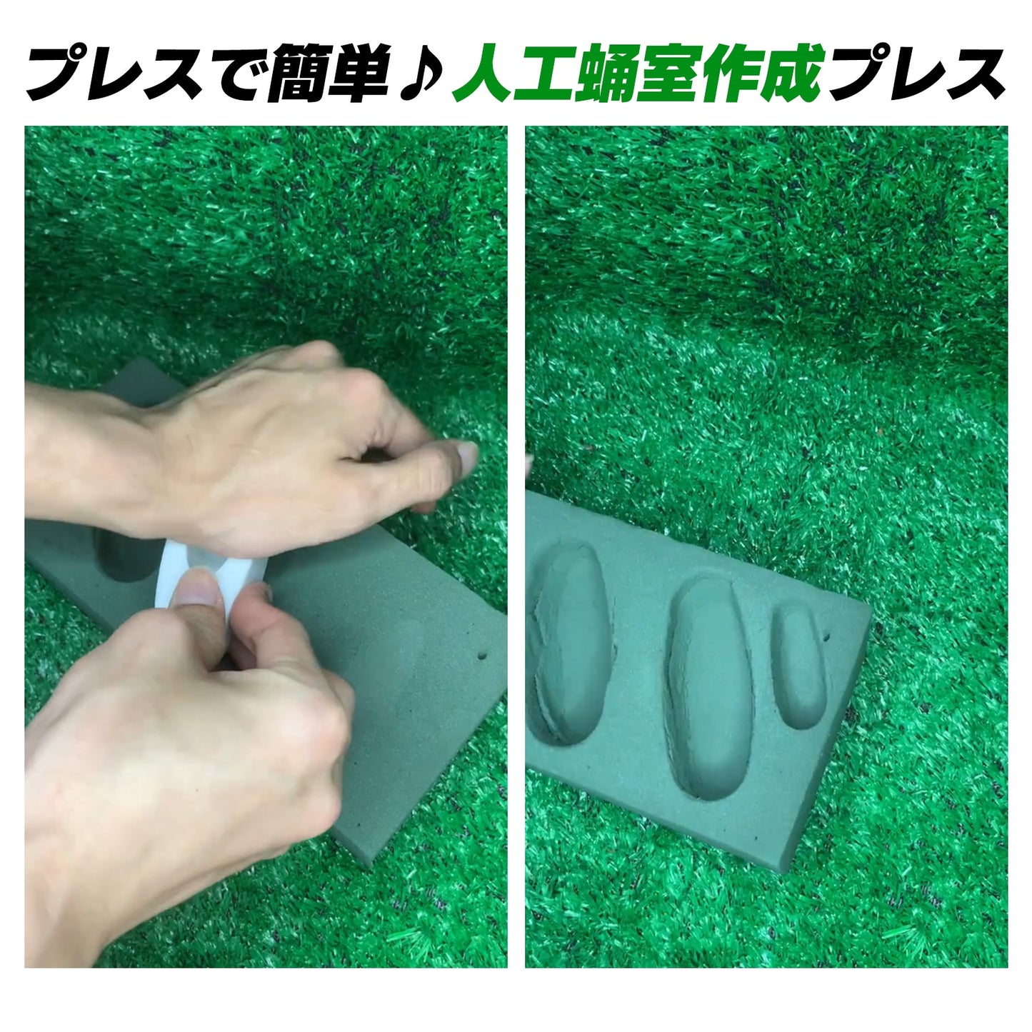 人工蛹室 凸型 カブトムシ 羽化 大型 ドルクス (108mm×37mm)