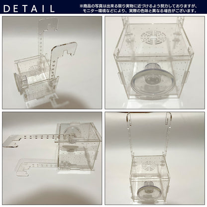 水槽 隔離ケース 隔離ボックス 稚魚ケース 稚魚用 隔離 SN-299-KB（シングル）