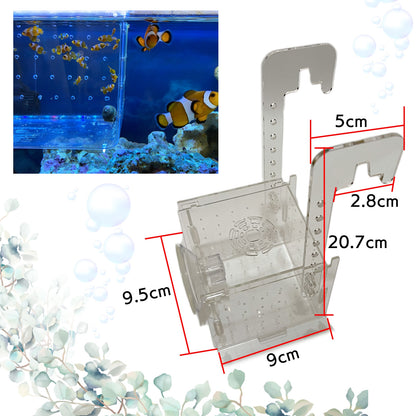 水槽 隔離ケース 隔離ボックス 稚魚ケース 稚魚用 隔離 SN-299-KB（シングル）