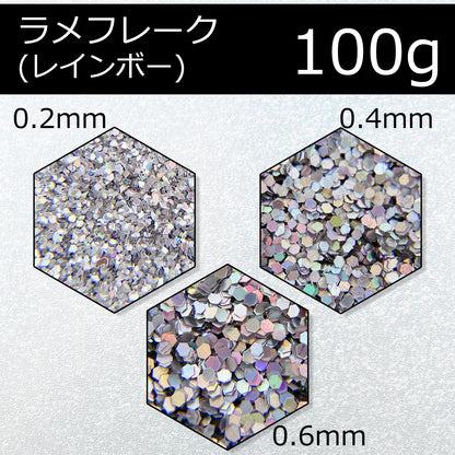ラメフレーク ラメパウダー ホログラム 100g グリッター SN-253-LF