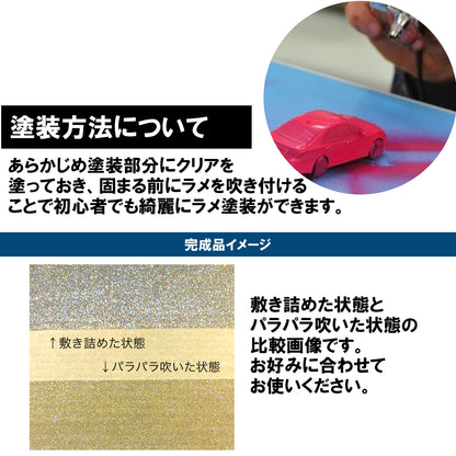 ラメフレーク ラメパウダー ホログラム 100g グリッター SN-253-LF