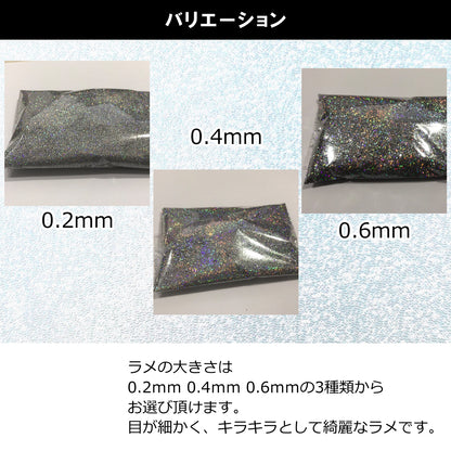 ラメフレーク ラメパウダー ホログラム 100g グリッター SN-253-LF