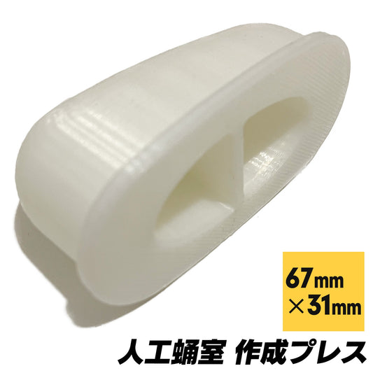 人工蛹室 凸型 カブトムシ 羽化 小型種 メス (67mm×31mm)